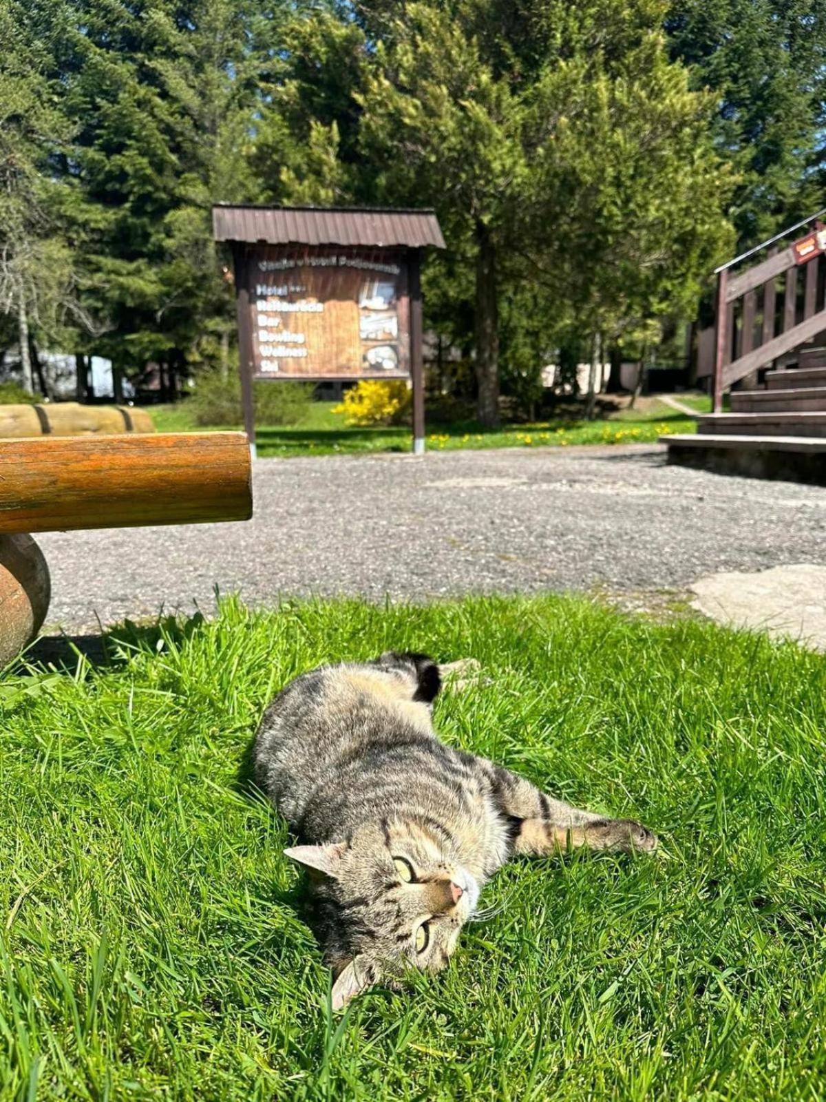 Horsky Hotel Podjavornik Papradno Экстерьер фото